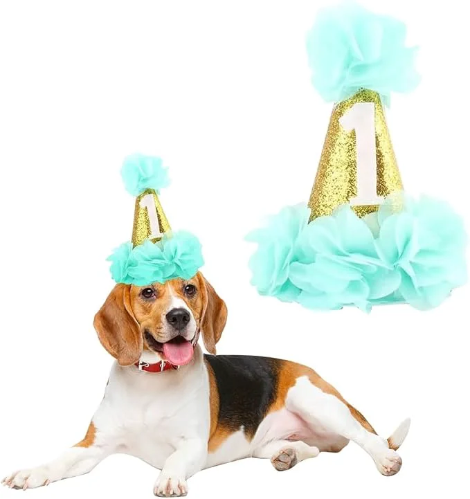 Minimalist Stock Show 1st Pet Birthday Cone Hat Dogs Cats Holiday Party Hat Headwear Genuine