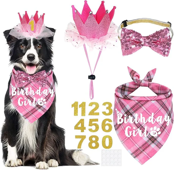Exceptional Dog Birthday Party Supplies High-End