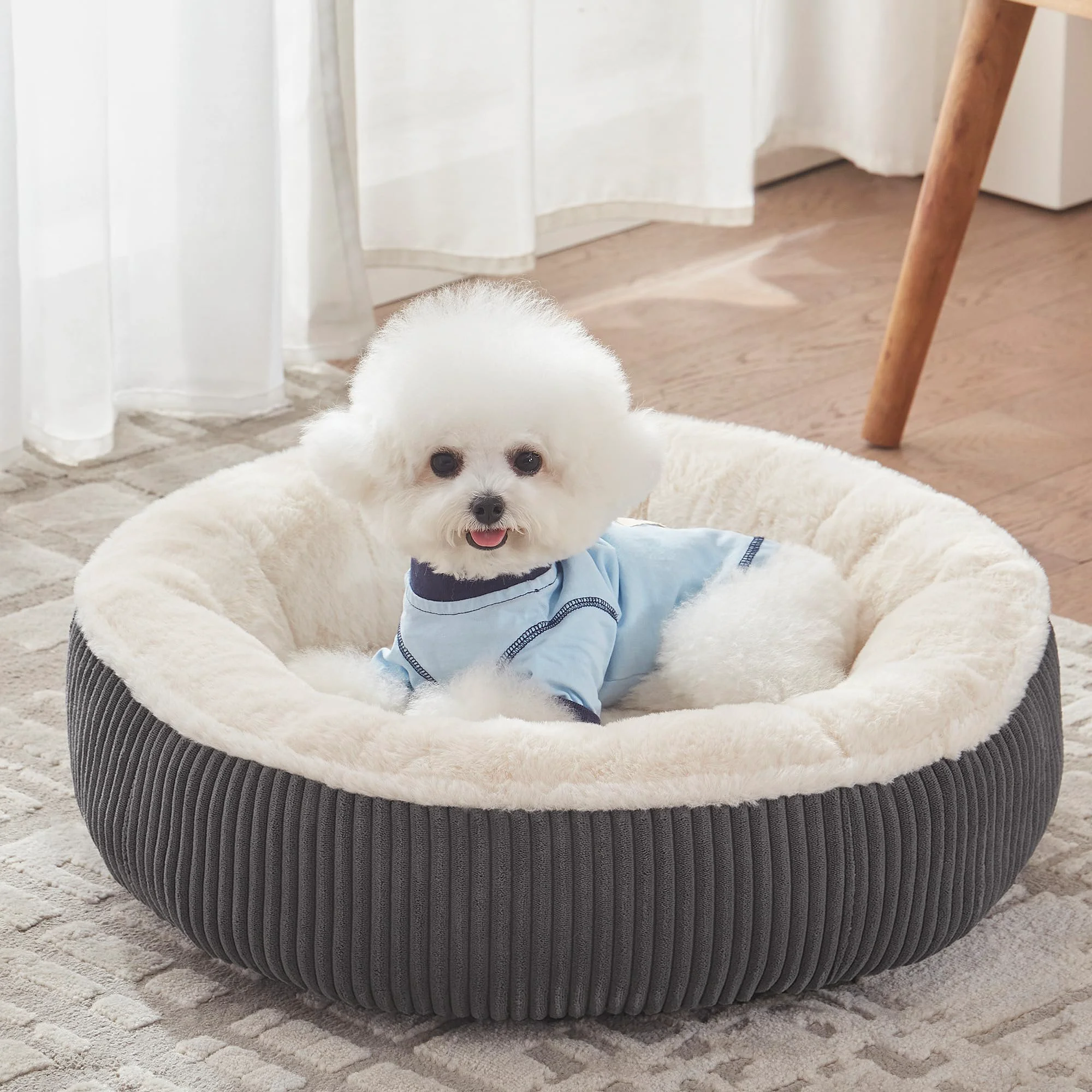 Advanced BedStill 23 Inches Donut Dog Bed for Small Dogs Calming Round Pet Bed with Removable Cover Dark Grey Small Versatile