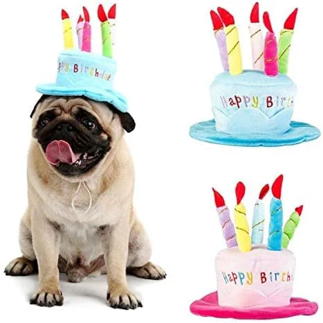 Traditional Cute Adorable Dog Cat Birthday Cake Hat Pet Cap Headwear Hat Lightweight