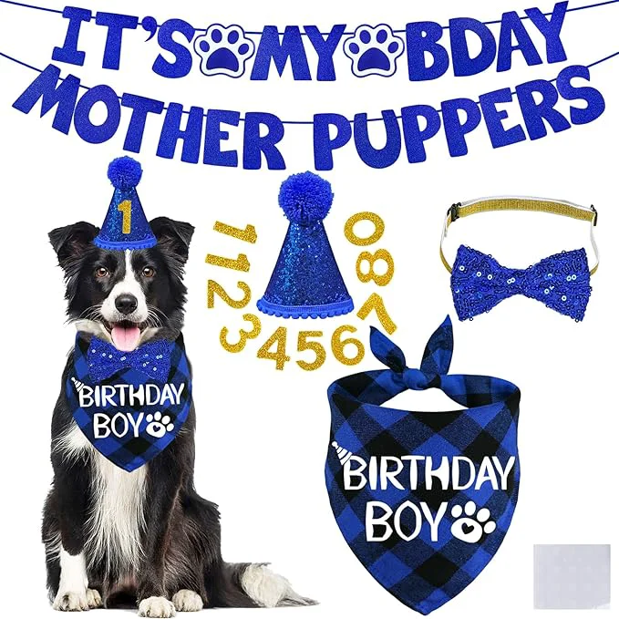 Professional STMK Dog Birthday Decorations Eco-Friendly