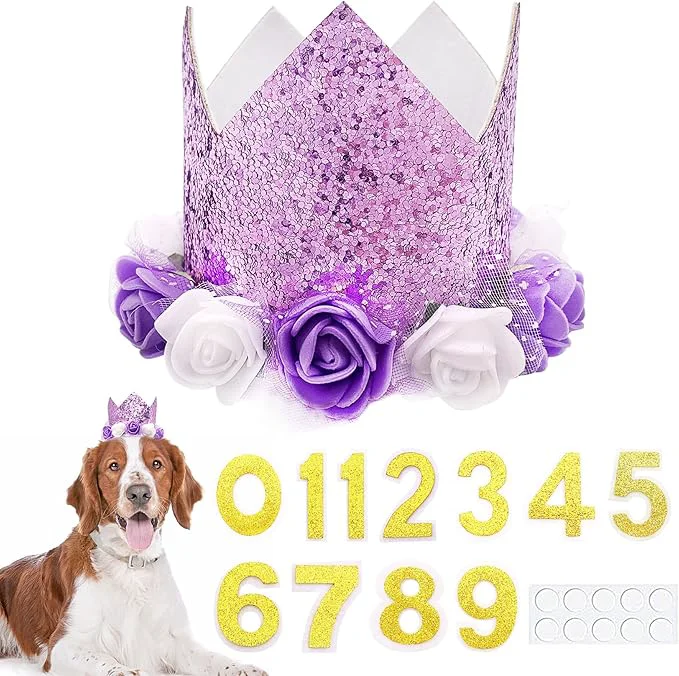 Top-Quality PET SHOW Purple Crown Dog Birthday Party Hat Specialty