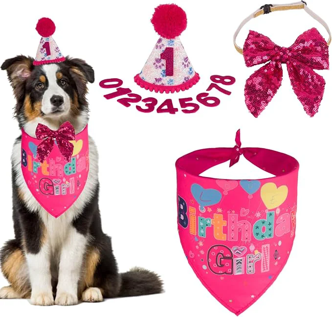 Safe PTDECOR Dog Birthday Party Supplies Girl Dog Birthday Hat Consistent