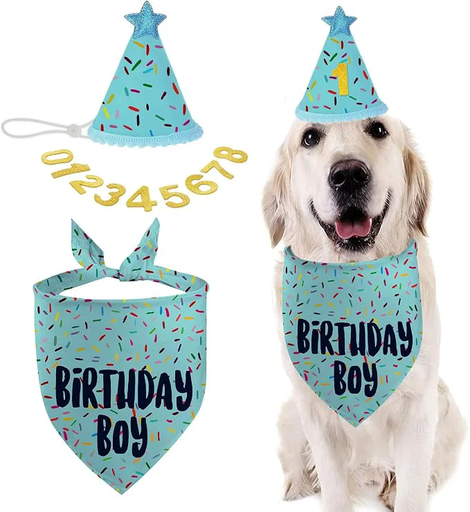 Traditional Dog Birthday Bandana Set Light Blue Birthday Boy Decorations HBD Party Clean