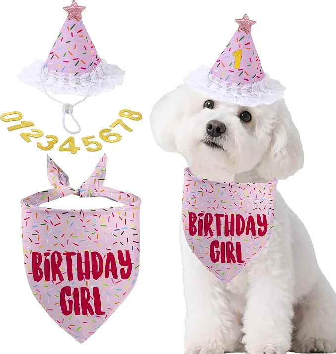Exceptional Dog Birthday Bandana Set Light Pink Birthday Girl Decorations HBD Party Smart