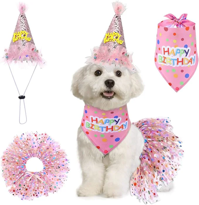 Powerful Dog Birthday Bandana with Hat and Dress Girl Set Puppy Birthday Party Supplies Outstanding
