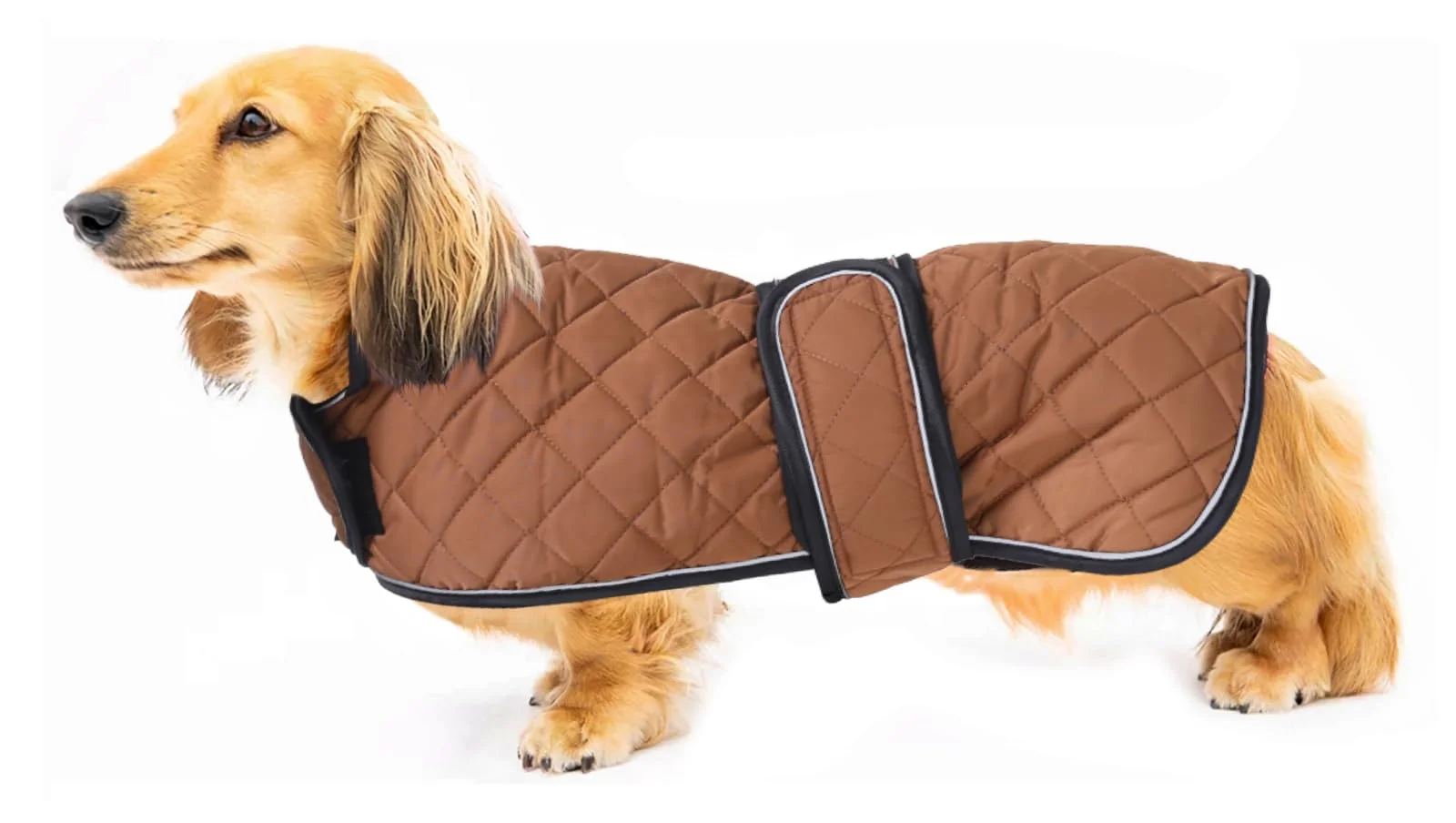 Optimized Geyecete Warm Thermal Dachshund Coat with Fleece Lining – Waterproof Winter Jacket Brown XS Responsible
