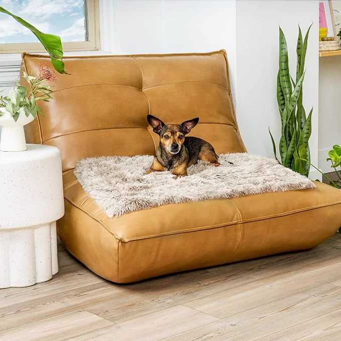 Relaxed Furhaven Waterproof Throw Blanket Trendy