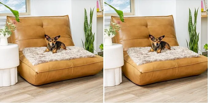 Dependable Furhaven Waterproof Throw Blanket Easy-to-Use