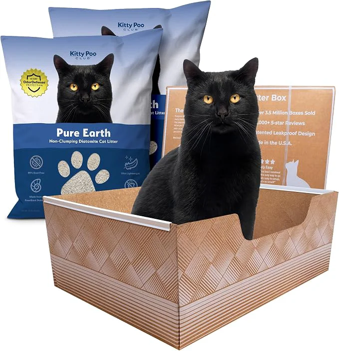 Clean Kitty Poo Club Leakproof Disposable 2-Pack Cat Litter Box Modern