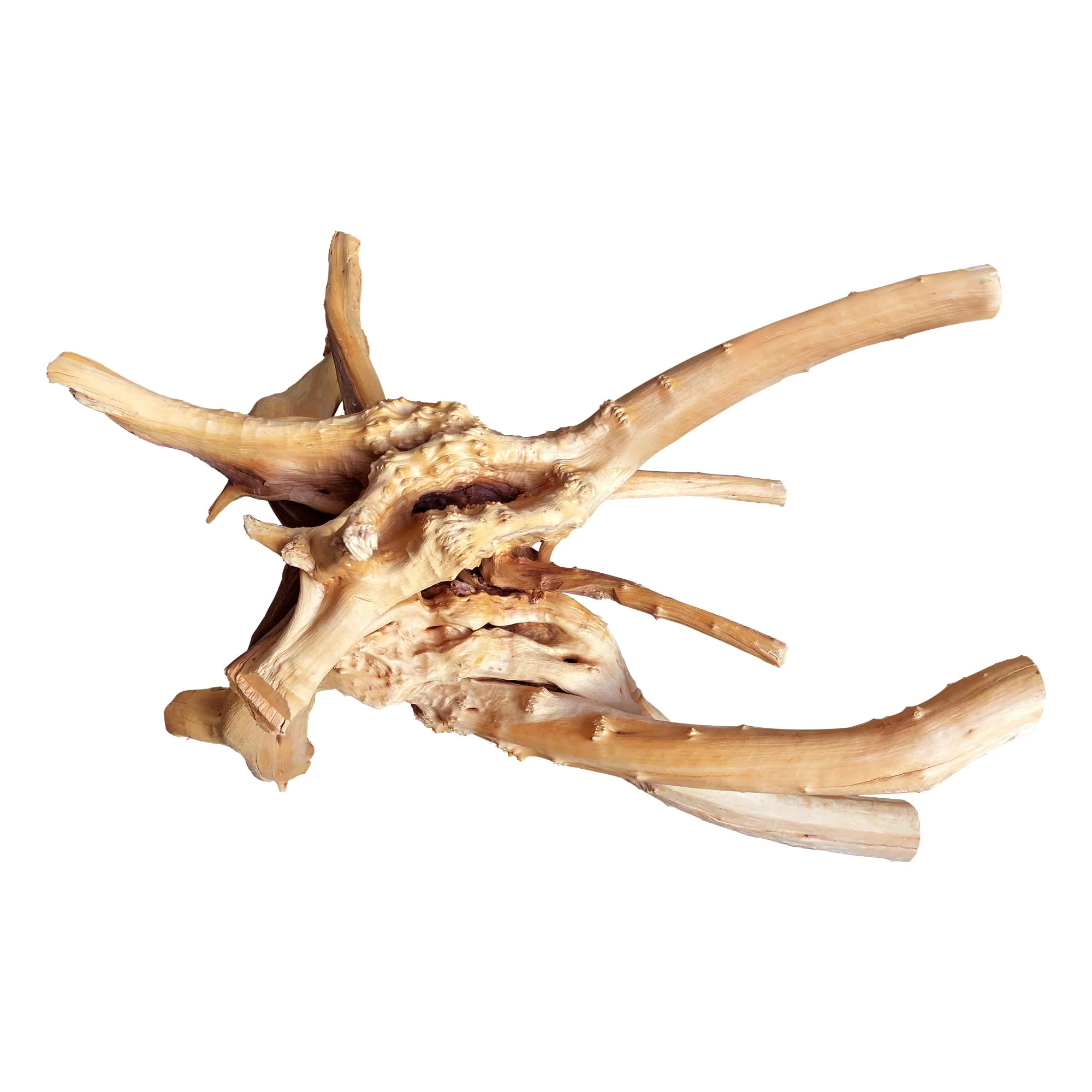 Unique majoywoo Natural Large Spider Wood Driftwood for Aquarium Reptile Decor 13-17in World-Class