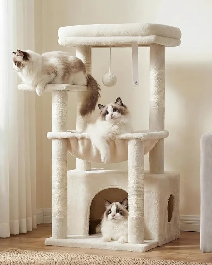 User-Friendly Heybly Cat Tree Kitten Tower Contemporary