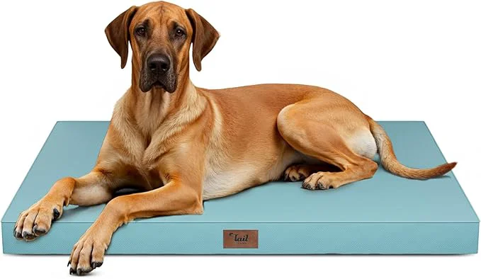 Comfortable Outdoor Extra Large Dog Bed Jumbo Waterproof Dog Bed Green