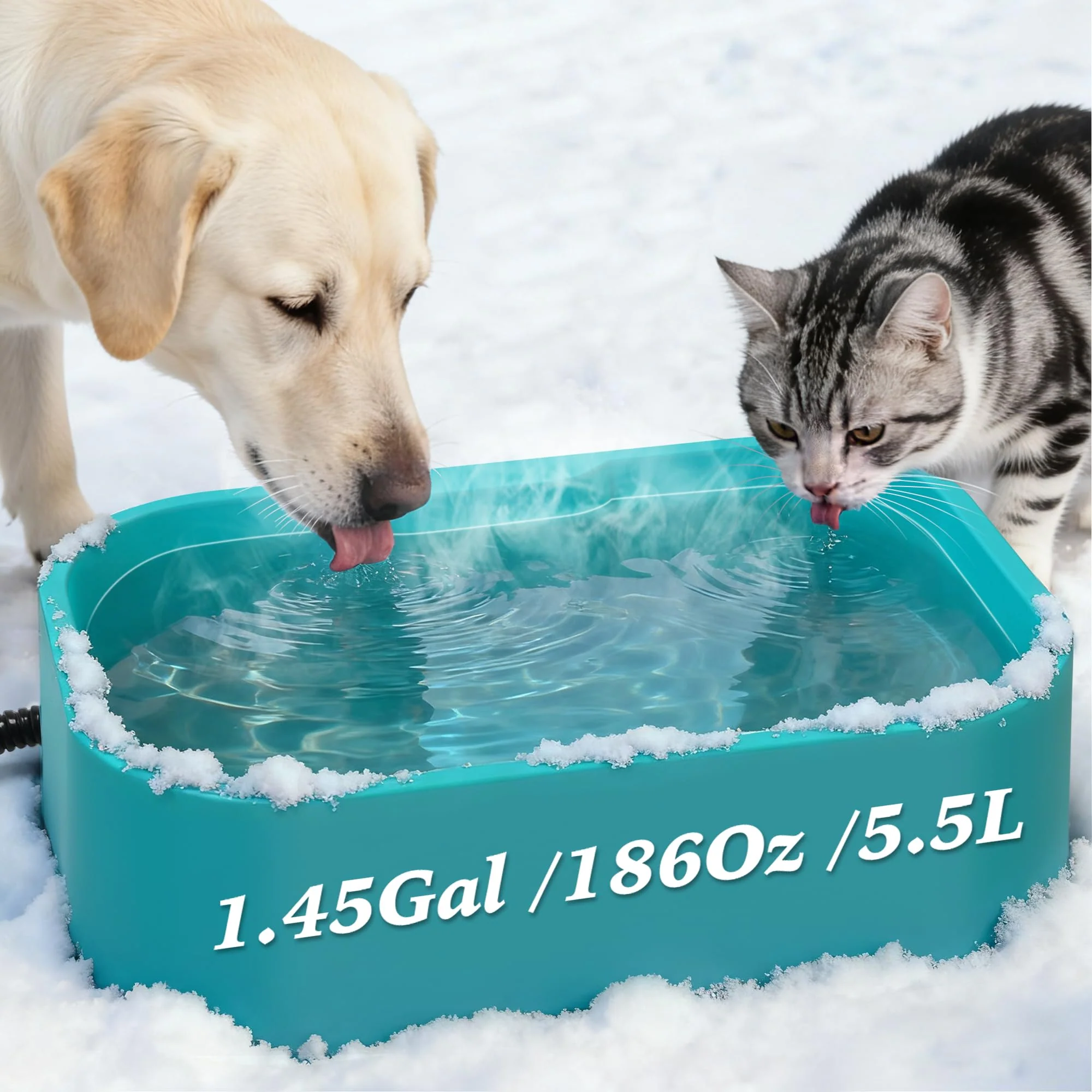 Environmentally Friendly Qvamodo 1.45 Gal Heated Water Bowl – Extra-Large Outdoor Pet Water Blue Exclusive