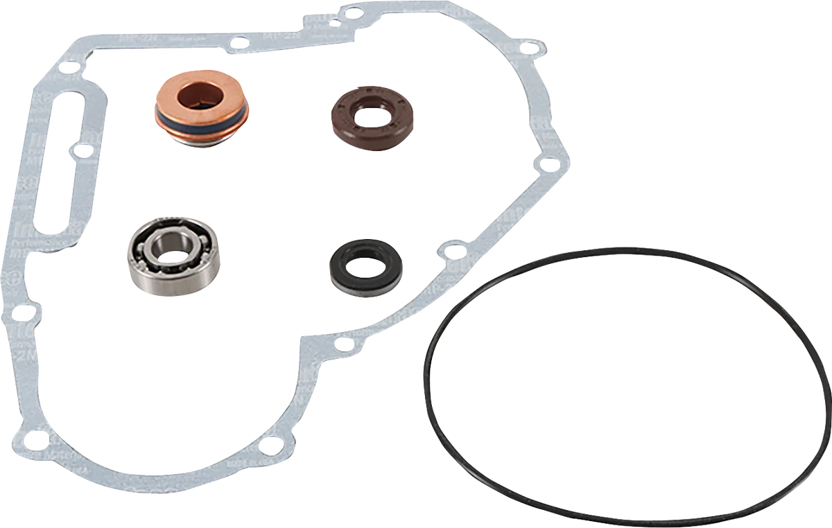 Certified VERTEX Water Pump Repair Kit - Polaris 821891 Fast