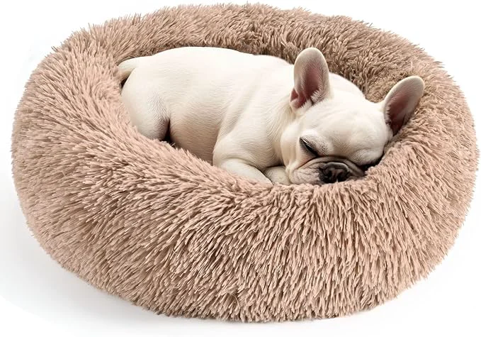 Verified Hoewina Dog Cat Bed for Indoor Cats 20in Calming Donut Bed for Puppy and Reliable