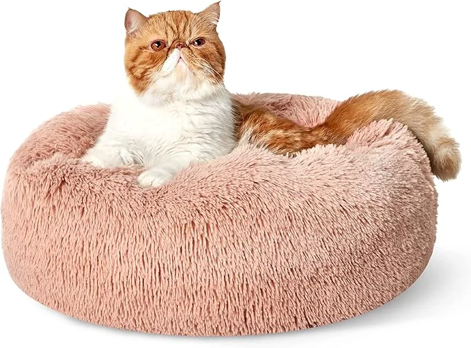 Secure Bedsure Calming Cat Beds for Indoor Cats High-Grade