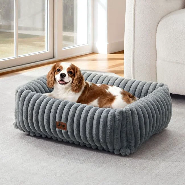 Certified Washable Dog Bed for Small Medium Dogs Top-Quality
