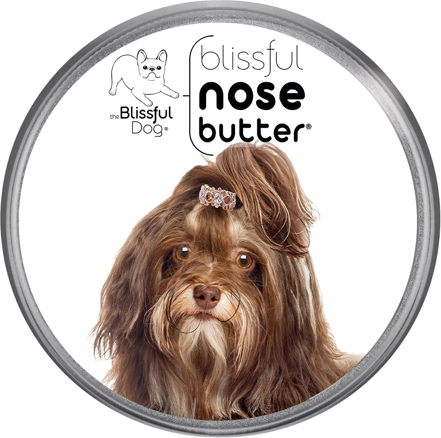 Detailed The Blissful Dog Havanese Nose Butter for Dry Cracked Skin Lick-Safe Dog Nose Balm with Moisturizing Shea Butter Almond Olive and Essential Oils Pet Supplies Uncented 8 oz. Original