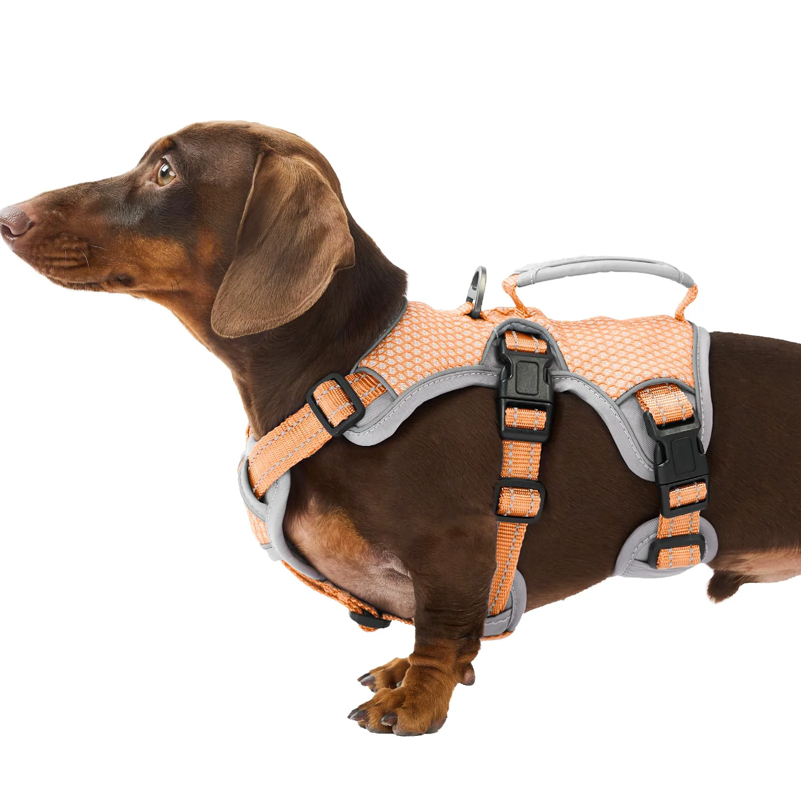 Sustainable Huntboo Escape Proof Dog Harness with Handle - Reflective Adjustable Vest Orange S High-End