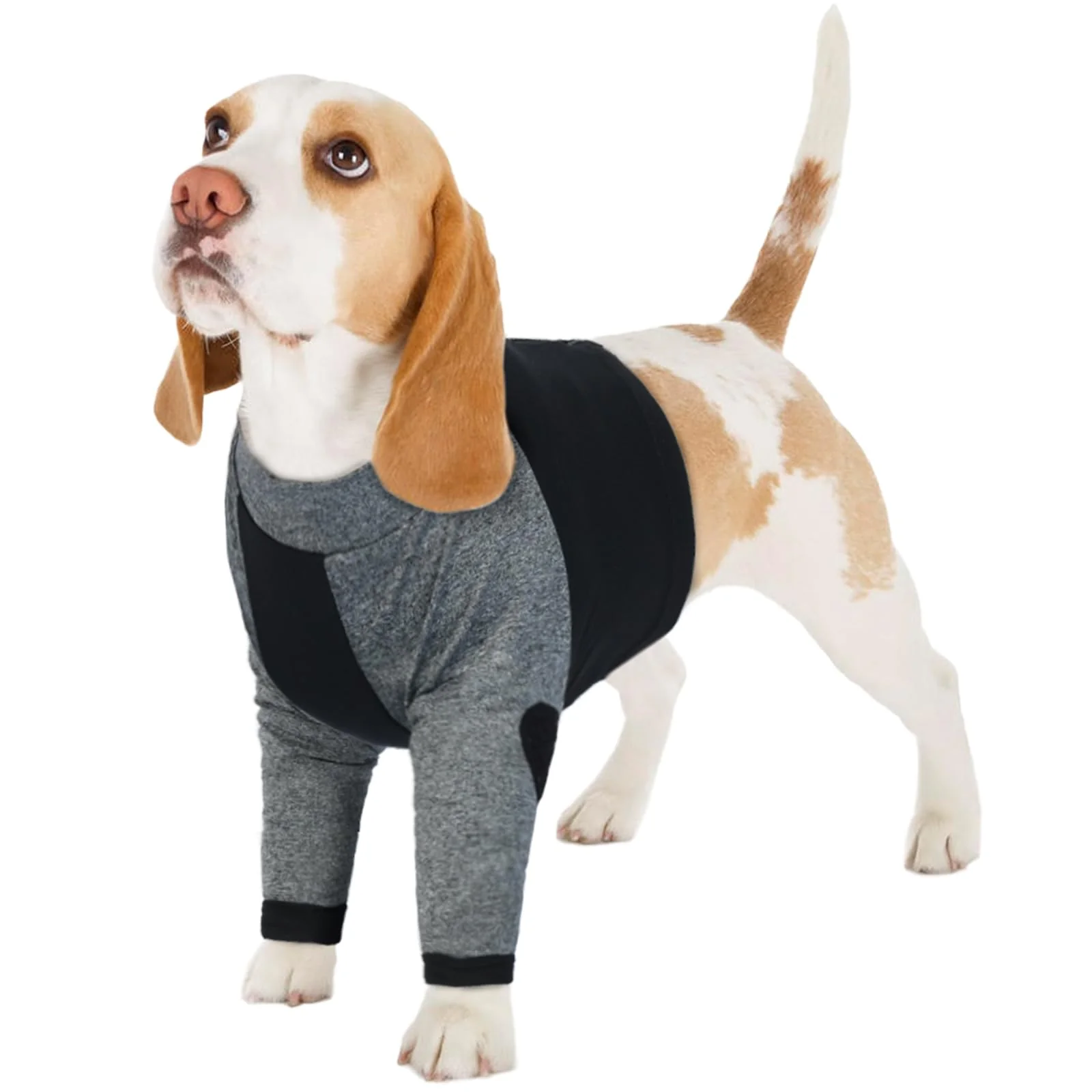 Convenient LeLePet Dog Recovery Suit for Front Legs — Licking Prevention Elbow Protection Zippered Shirt Cone S-3XL Original Design