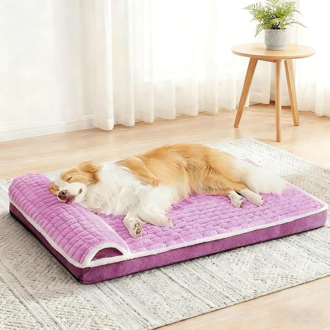 Sustainable Orthopedic Dog Bed Medium Size Dog Trendy