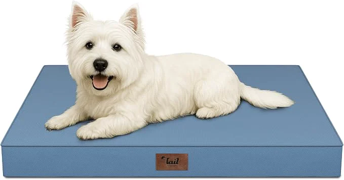 Breathable Outdoor Dog Bed for Small Dogs Cats Waterproof Dog Crate Mat Orthopedic Egg Sophisticated