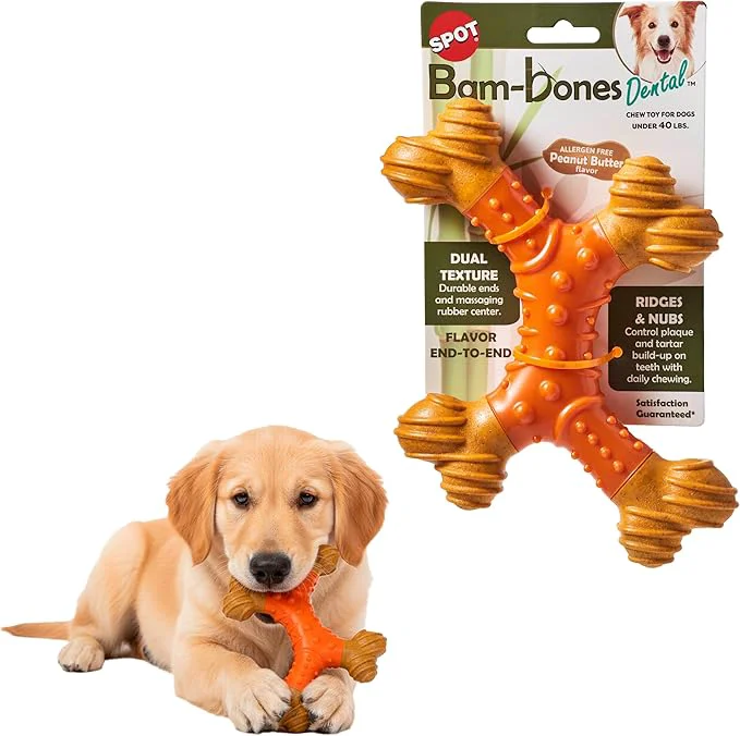 Optimized SPOT Bam-Bones Dental X-Bone Advanced