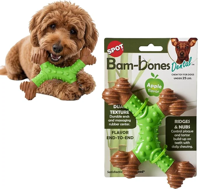 Powerful SPOT Bam-Bones Dental X-Bone Specialty