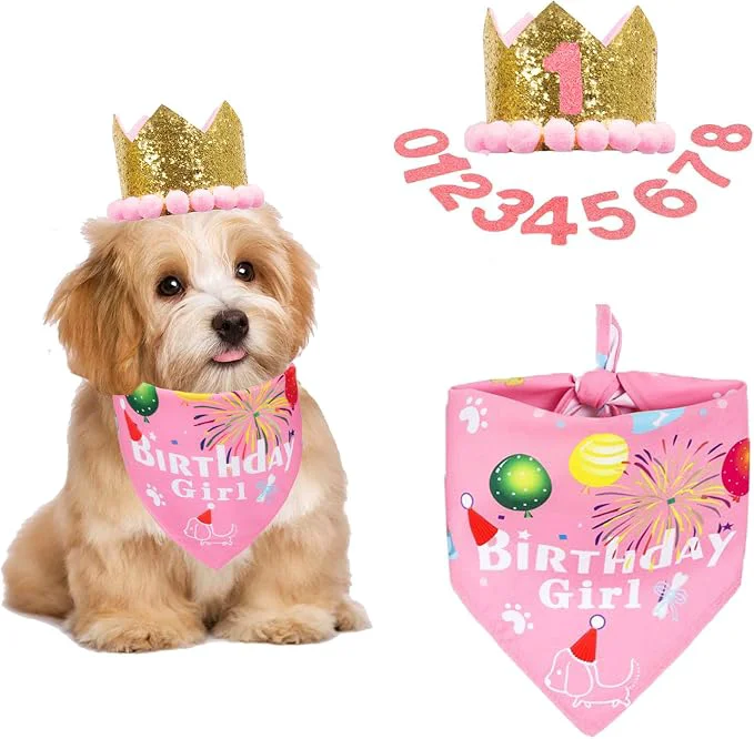 Classic ADOGGYGO Dog Bandana Hat Set for Birthday Party Supply Boy Girl Puppy Birthday Luxury