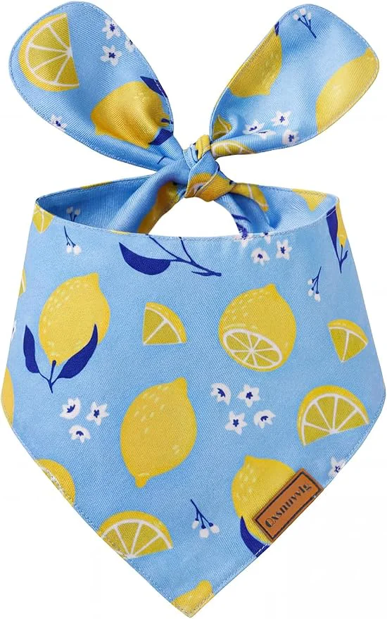 Sustainable Luxury Double-Layer Dog Birthday Bandana – Handmade Silk-Soft Polyester Clean