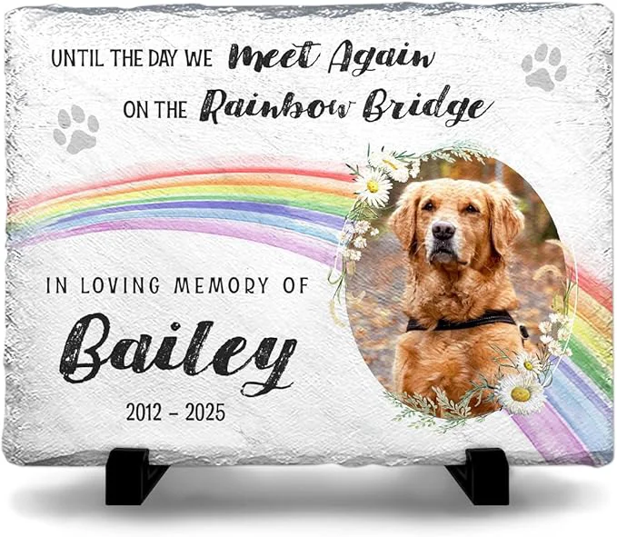 Traditional Rainbow Bridge Dog Memorial Gifts Reusable