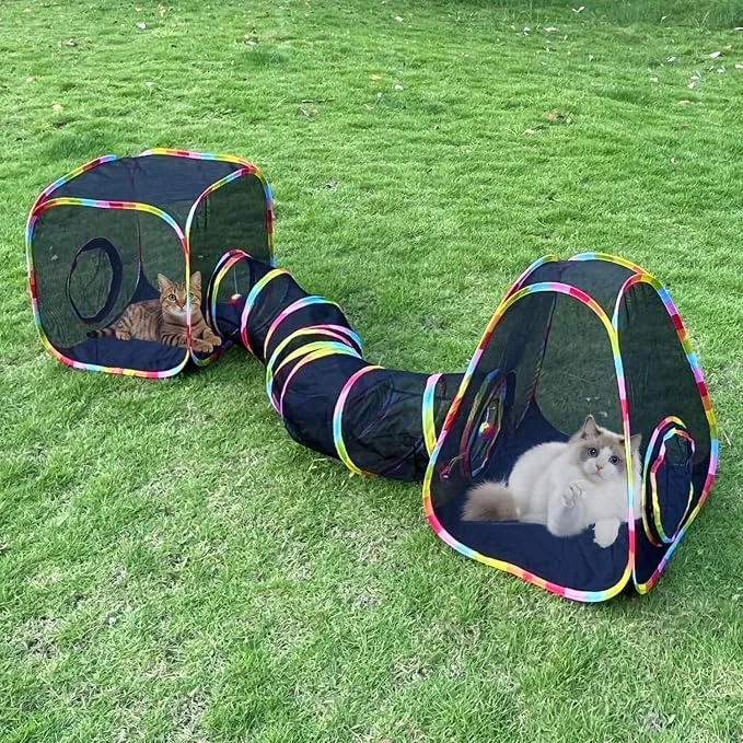 Refined Outdoor Cat Enclosures Cat Tunnels Tents Cubes Exceptional