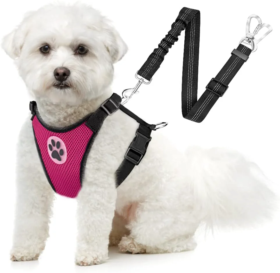 User-Friendly SlowTon Dog Seat Belt Harness for Car Dog Car Harness Adjustable Mesh Breathable Dog Seatbelt Safety Tether with Elastic Bungee for Small Medium Large Pets Fuchsia Double Clip S High-Grade