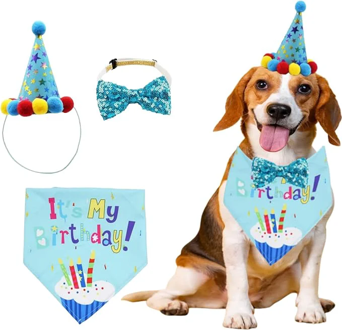 Innovative Pet Birthday Party Set with Hat and Bandana Organic