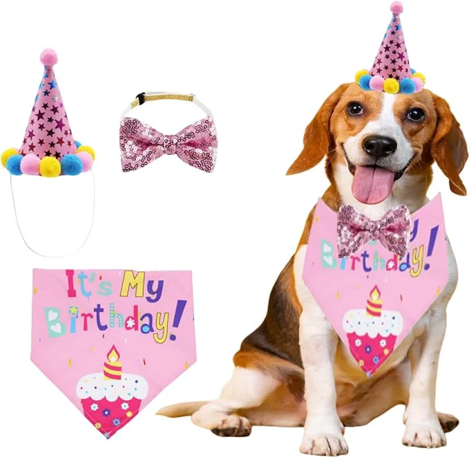 Crafted Pet Birthday Party Set with Hat and Bandana Elegant