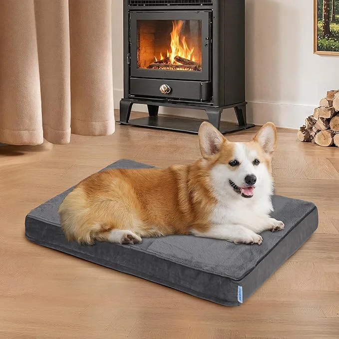 Versatile Dog Bed for Medium Dog - Orthopedic Pet Beds with Memory Foam Waterproof Removable Washable Cover with Non-Slip Bottom Grey 30 L x 20 W x 3 HAbout ThisOverview Prestigious