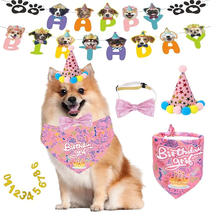 Sustainable Happy Birthday Dog Party Supplies Kit Secure
