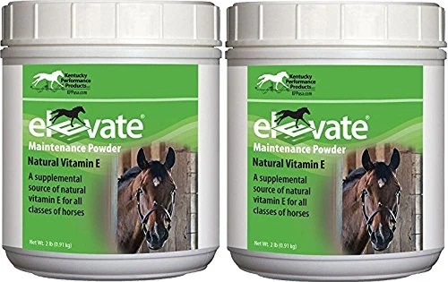 Enhanced Kentucky Performance Prod Maintenance Power — 2 Pack 2 lb Each Natural Vitamin E Horse Supplement Expertly Made