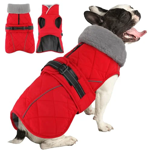 Breathable Petglad Waterproof Dog Coat Winter Jacket with Reflective Turtleneck Adjustable Buckle Certified