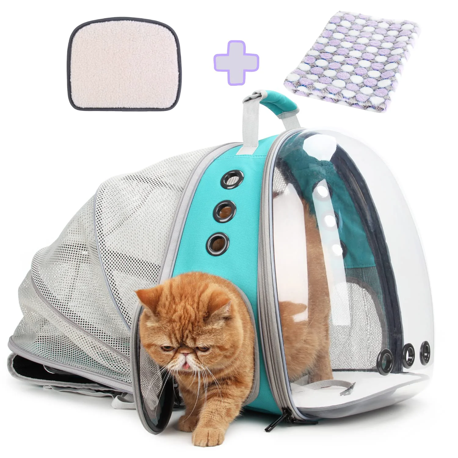 Casual Lollimeow Cat Carrier Backpack – Expandable Bubble Window Airline Up to 14 lbs Eco-Friendly