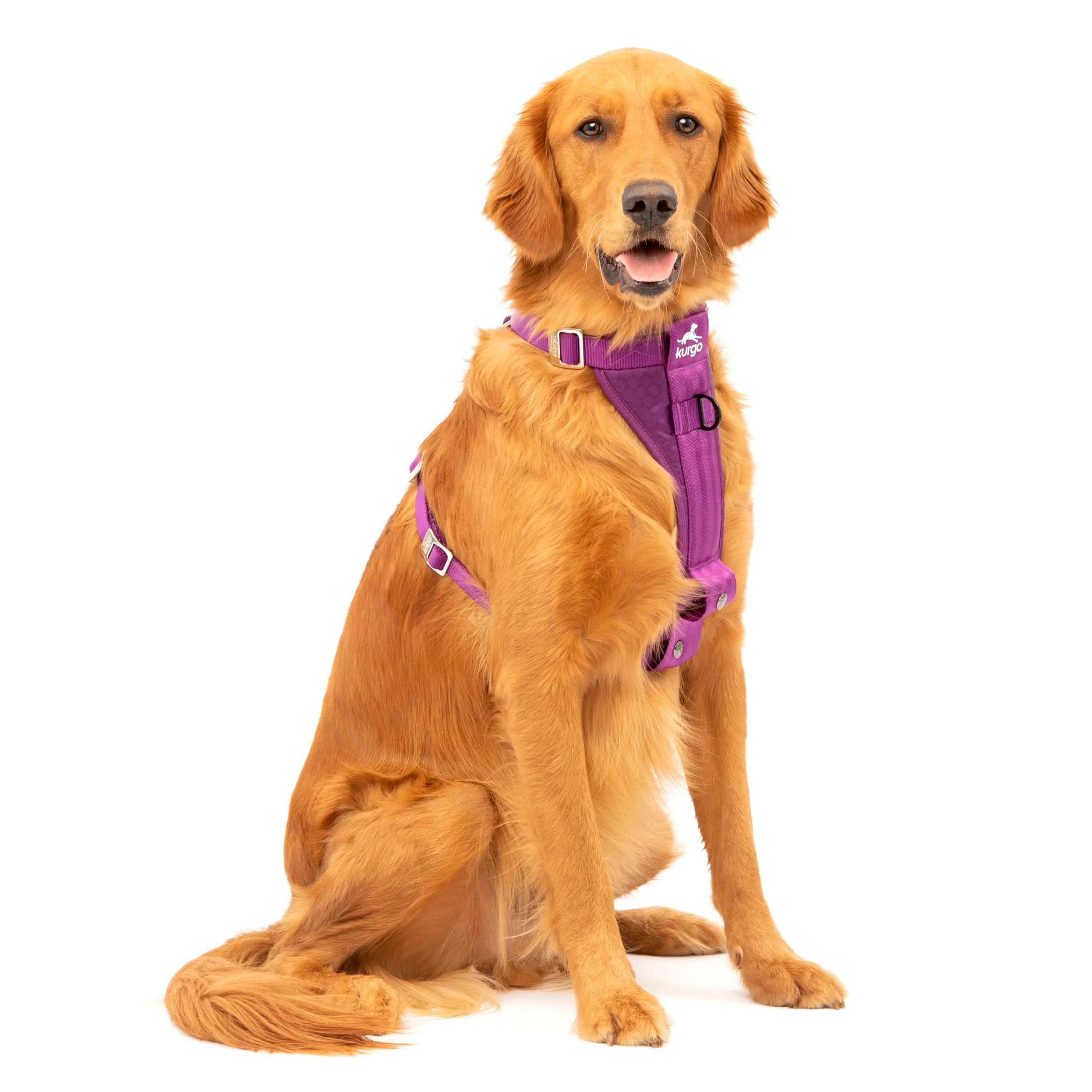 Fine Crafted Kurgo Enhanced Strength Tru-Fit Dog Car Harness – Crash-Tested Five-Point Travel Harness Deep Violet Large Fashionable