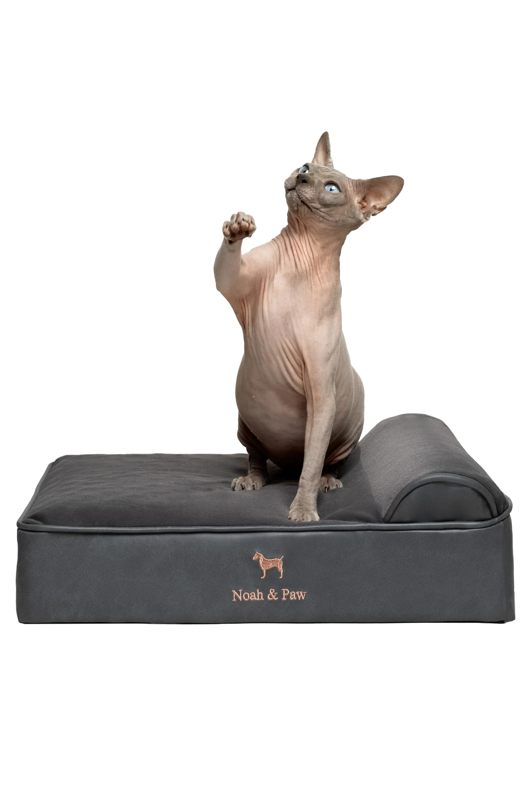 Artisan NOAH PAW Small Dog Bed – Orthopedic Eggshell Memory Foam with Cooling Gel Waterproof Washable Fast