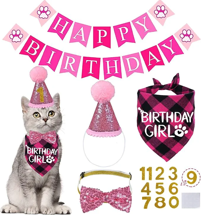 Efficient STMK Cat Birthday Decorations Cat Birthday Hat Dependable