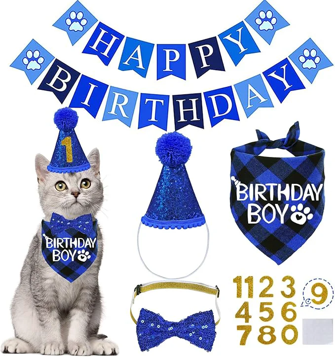 Premium Material STMK Cat Birthday Party Supplies Cat Birthday Hat Trendy