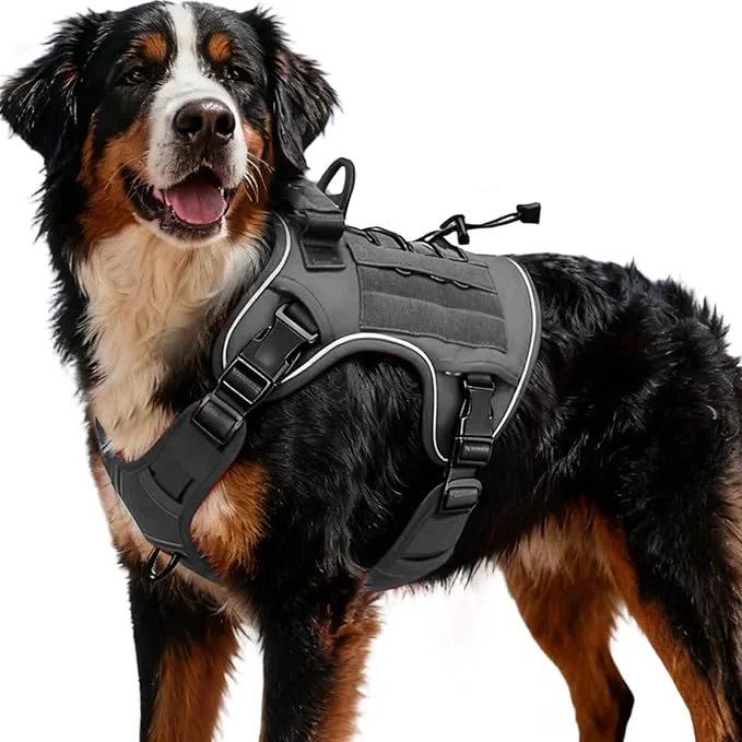 User-Friendly Heavy-Duty Tactical Dog Harness for Large Dogs No Pull Adjustable Reflective Pet Vest with Molle System K9 Military-Grade Control for Service Training Outdoor 10 Breeds Gray XX-LargeAbout ThisOverview Verified