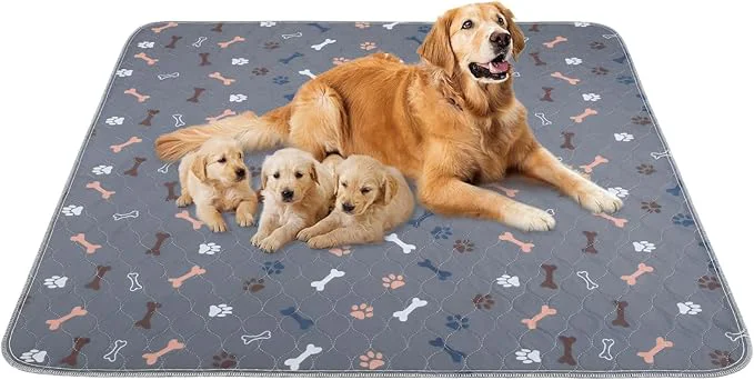 High-End Washable Pee Pads for Dogs 2 Pack 48 x60 Reusable Puppy Training Pads Exclusive