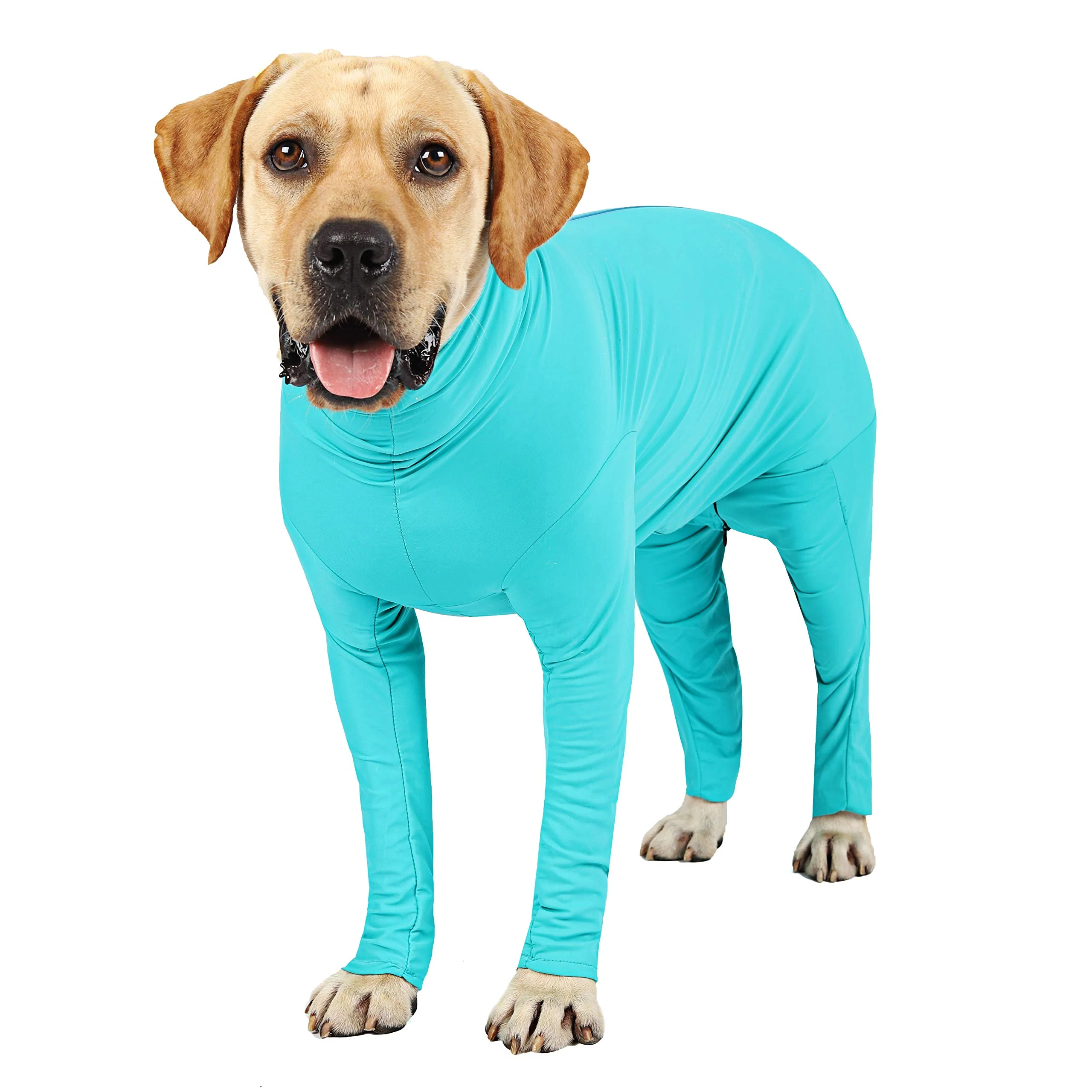 Clean Etdane Recovery Suit for Dogs – Post-Op Surgery Bodysuit Blue XL Exclusive