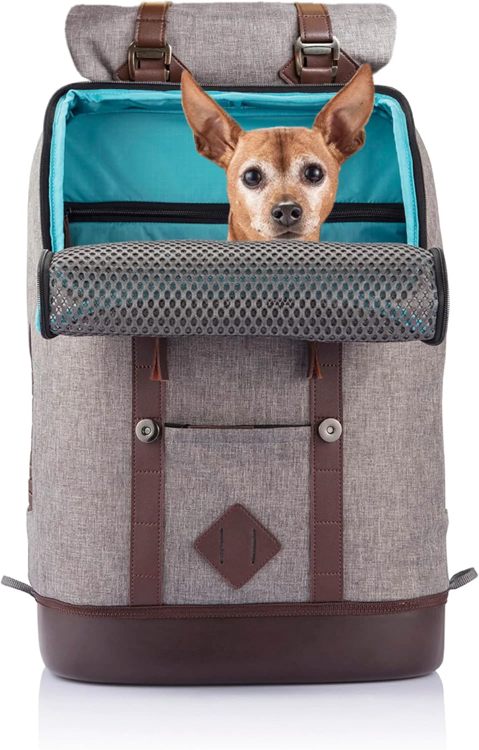 First-Class Kurgo Dog Carrier Backpack for Small Pets - Dogs Cats TSA Airline Cat Hiking or Travel Waterproof Bottom G-Train Ruck Sack Heather Grey Responsible