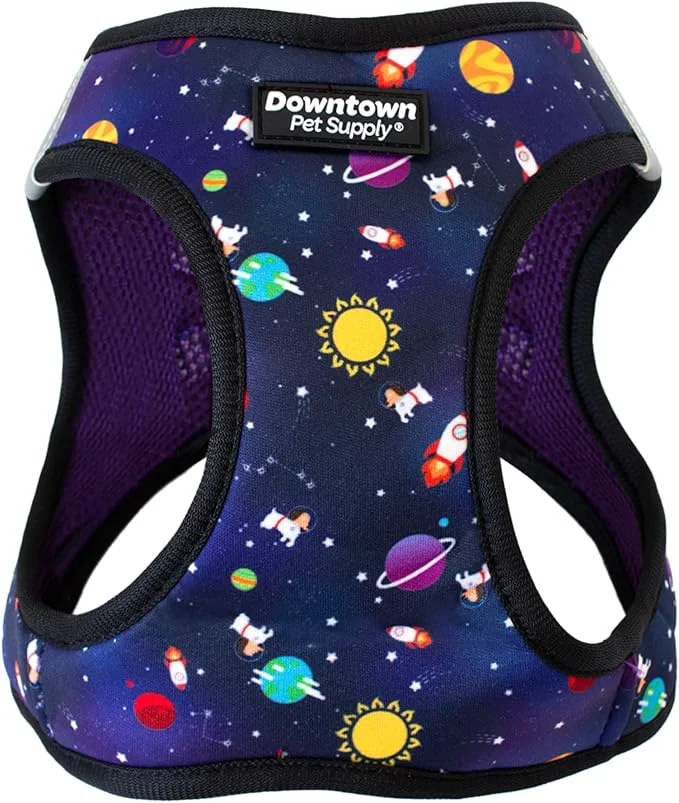 World-Class Downtown Pet Supply Step-in Dog Harness – No Pull Adjustable Padded Mesh Specialty